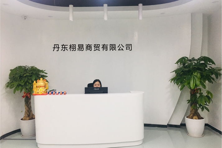 丹东SEO外包，费用是否透明，服务是否专业？哪家公司能提供？