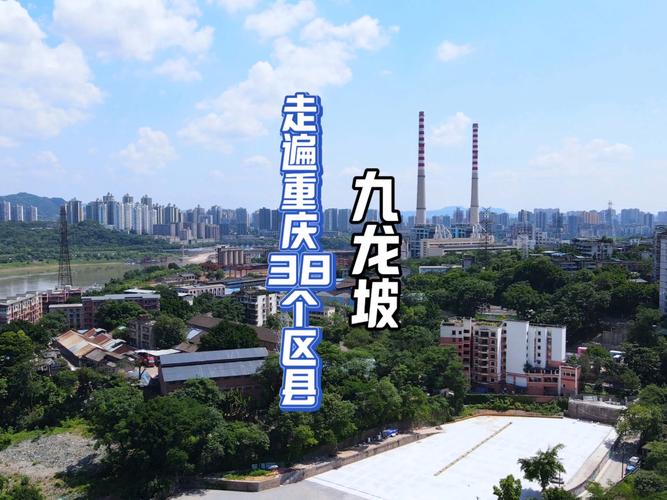 九龙坡大数据SEO和巴南SEO，哪个性价比更高呢？