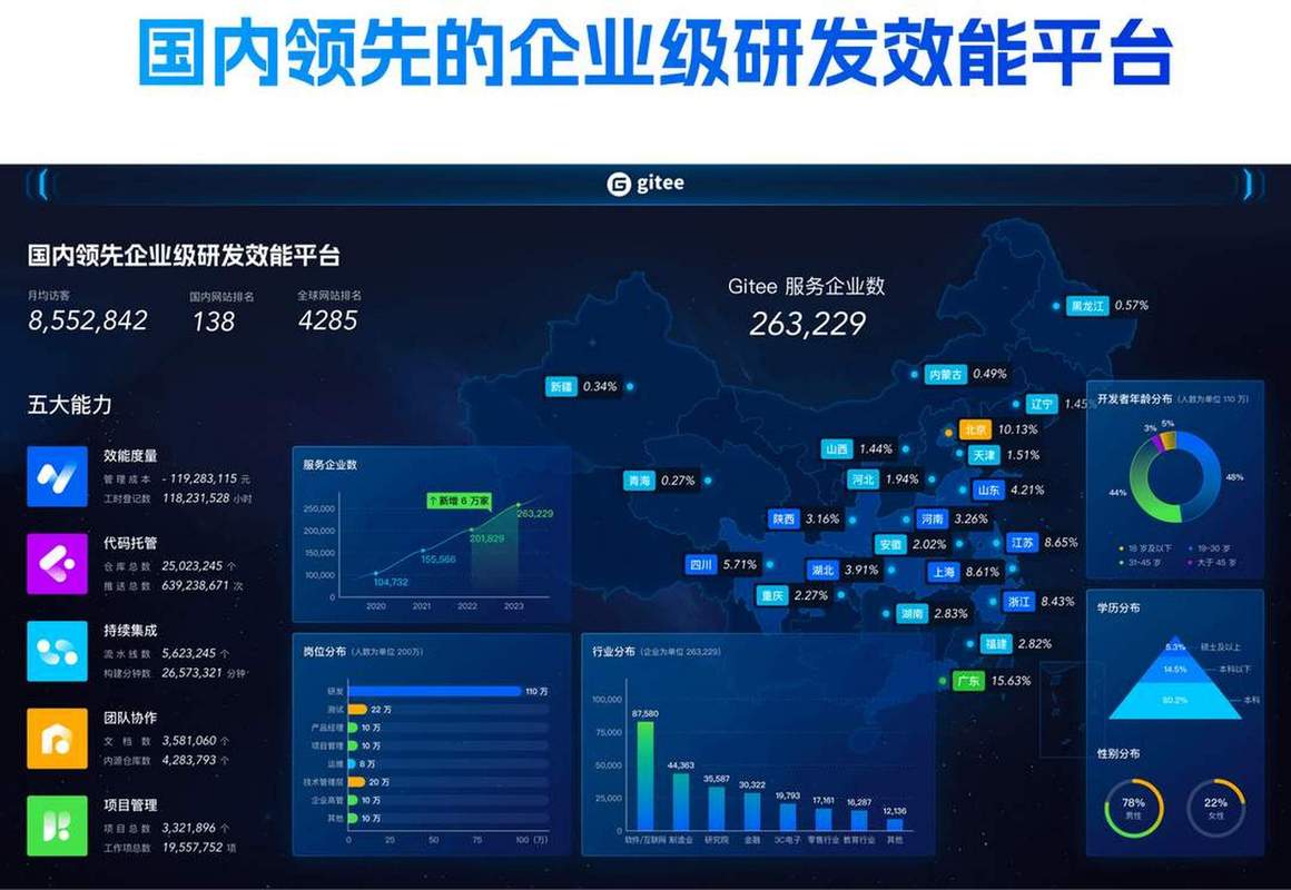 码云Gitee主要用于哪些软件开发活动？