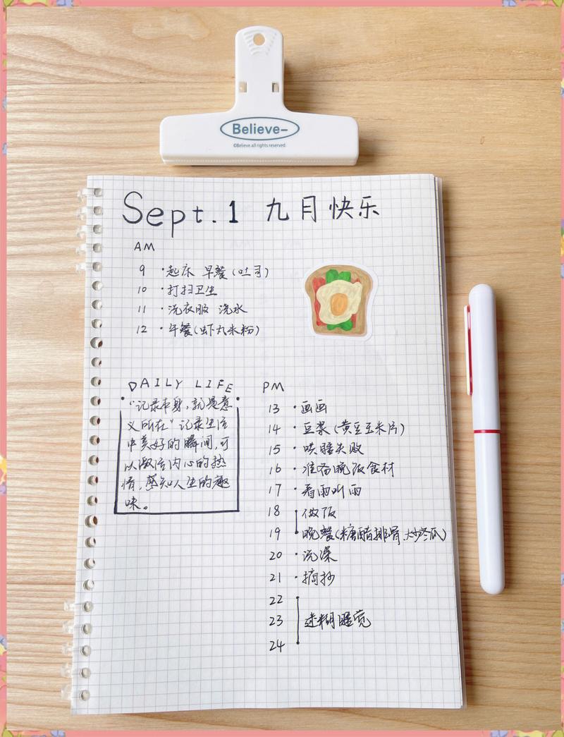 Journaler在记录个人思考和经历方面有何独特作用？