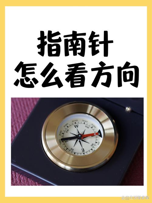 如何通过JavaScript获取鼠标指针的具体坐标位置？
