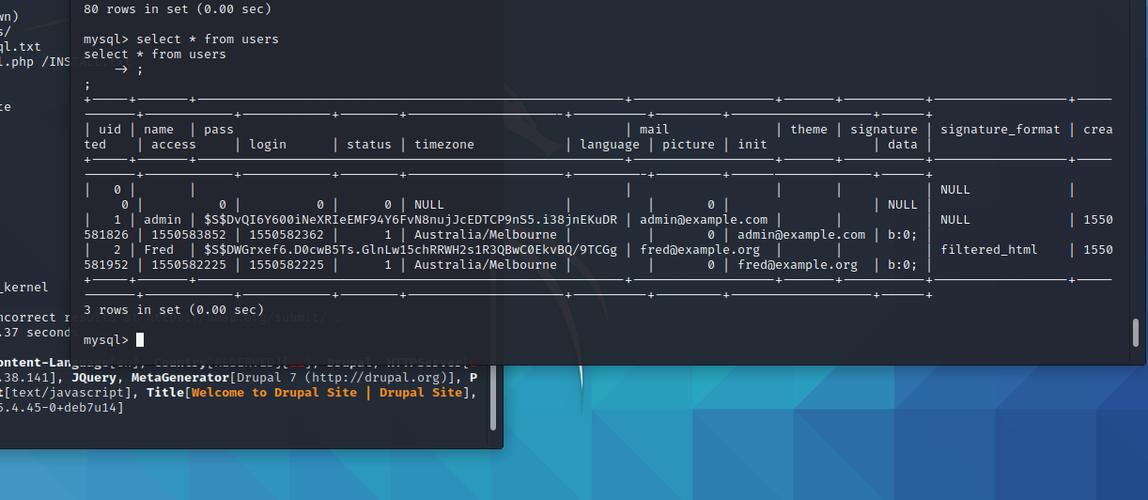 Vulnhub-DC-1靶机中，有哪些渗透专题技巧可用？