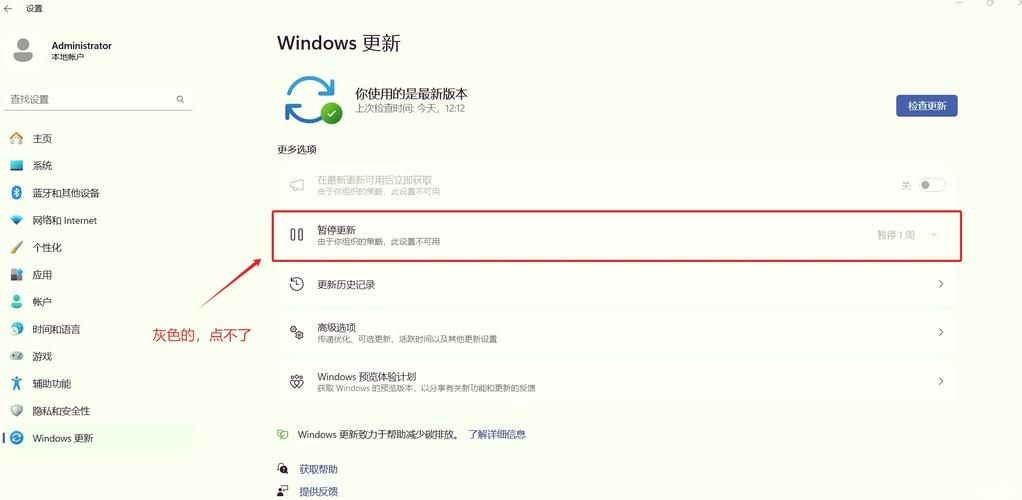 Win10微软商店安装键变灰，是何原因导致？