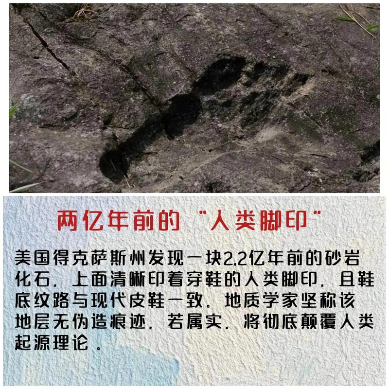 百度奥秘深藏何处，其中奇迹能否一探究竟？