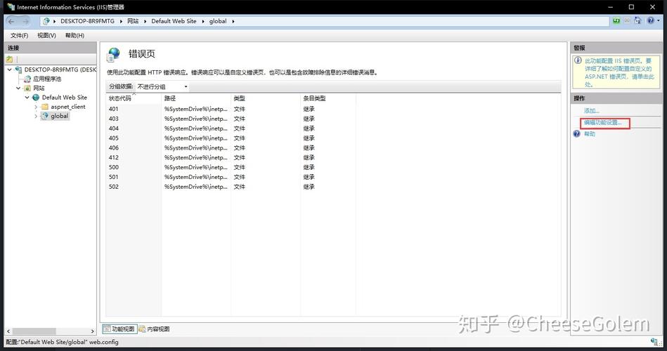 ASP.NET MVC项目中，IIS如何处理缺少的.dat文件？