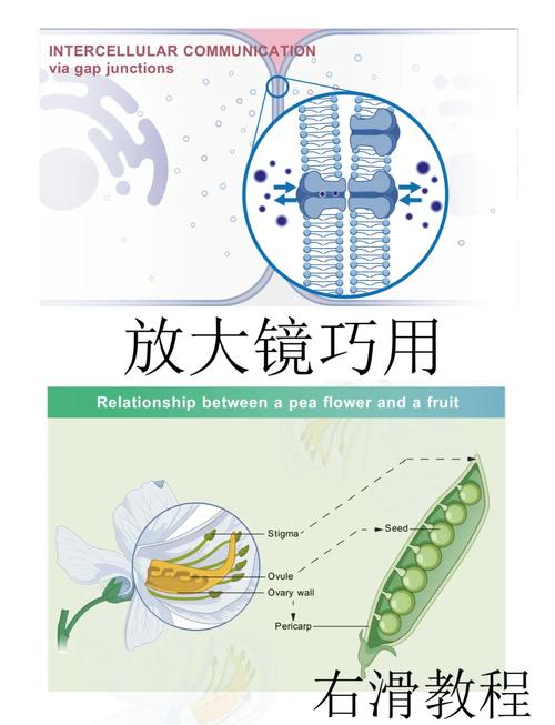 Vue3结合vueuse如何制作一个详细的放大镜效果示例？