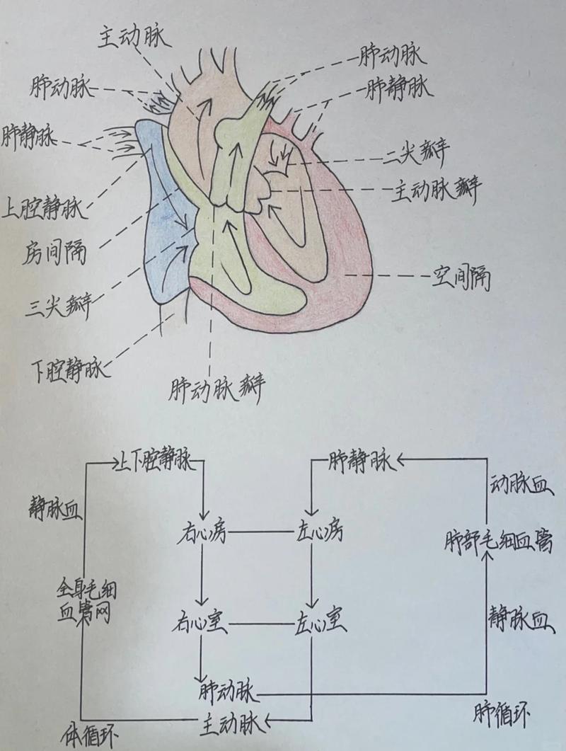 十一，如何区分判断与循环结构？