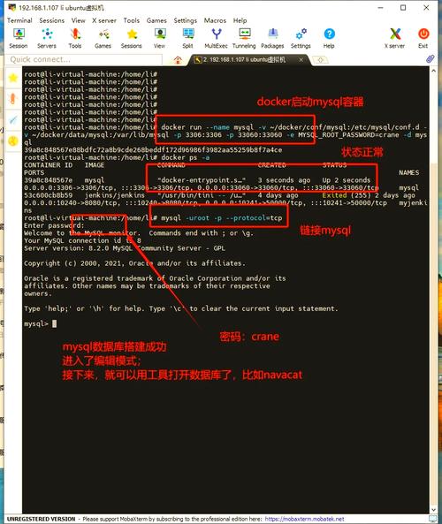 如何进行Docker环境下MySQL的安装与登录操作？