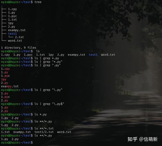 Linux中通配符和正则表达式有何区别？