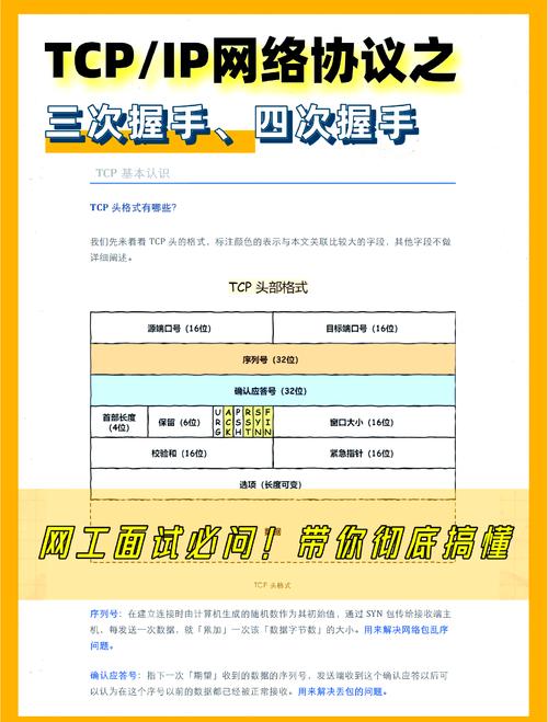 如何详细解释TCP协议中的三次握手与四次挥手过程？