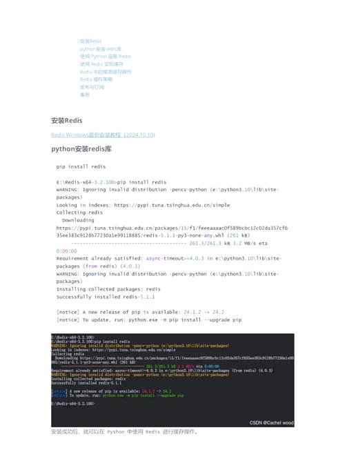 如何通过Python服务器编程，利用Redis提升HTTP请求响应速度？