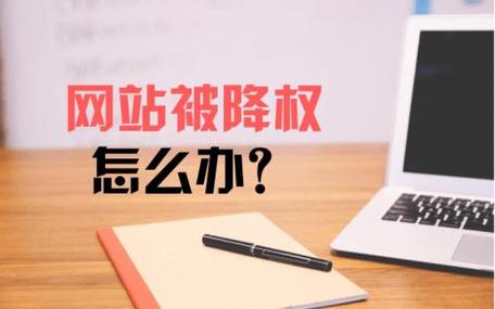 新站搜索无果，难道是搜索引擎已经对我网站进行了降权处理？
