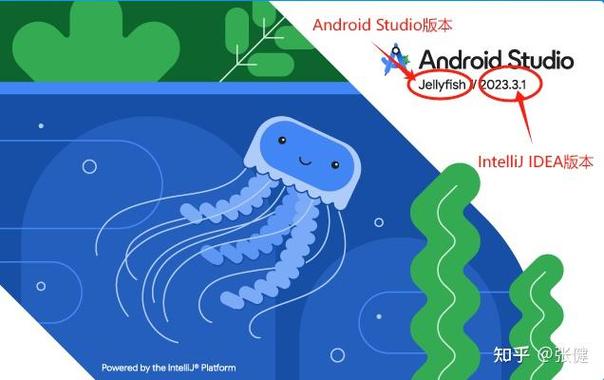 Android Studio APP目录结构详解，外层结构如何划分？