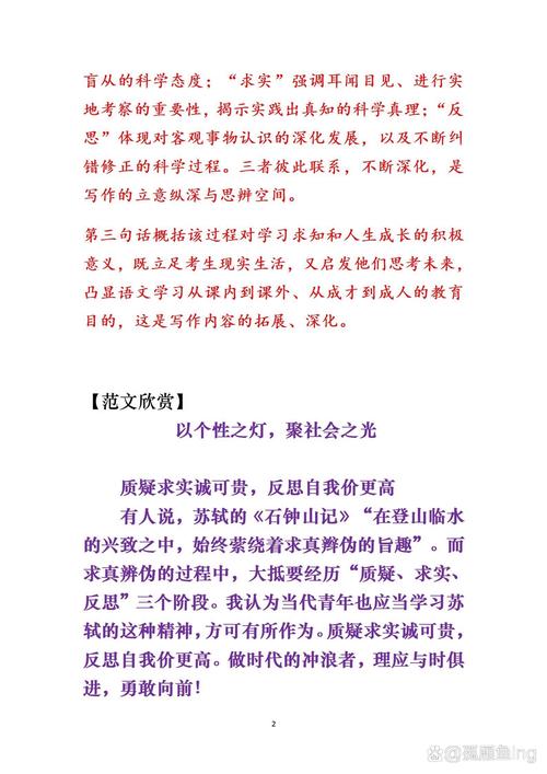 为何不能质疑我的观点，却对代码提出疑问？