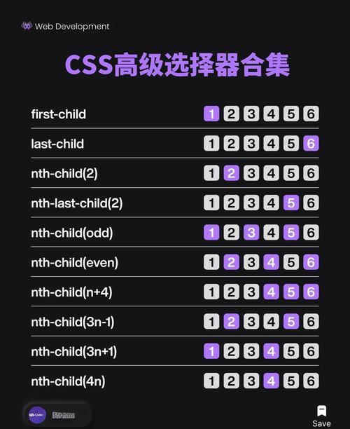 CSS中包含哪些复杂的高级选择器类型？