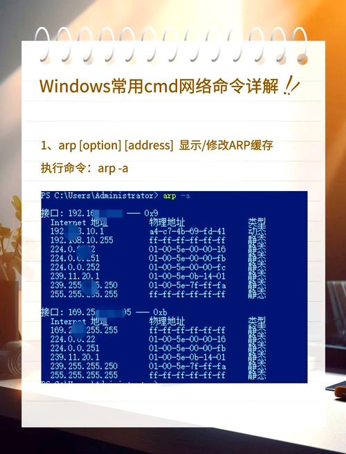 如何正确使用aspnet_regiis.exe命令？