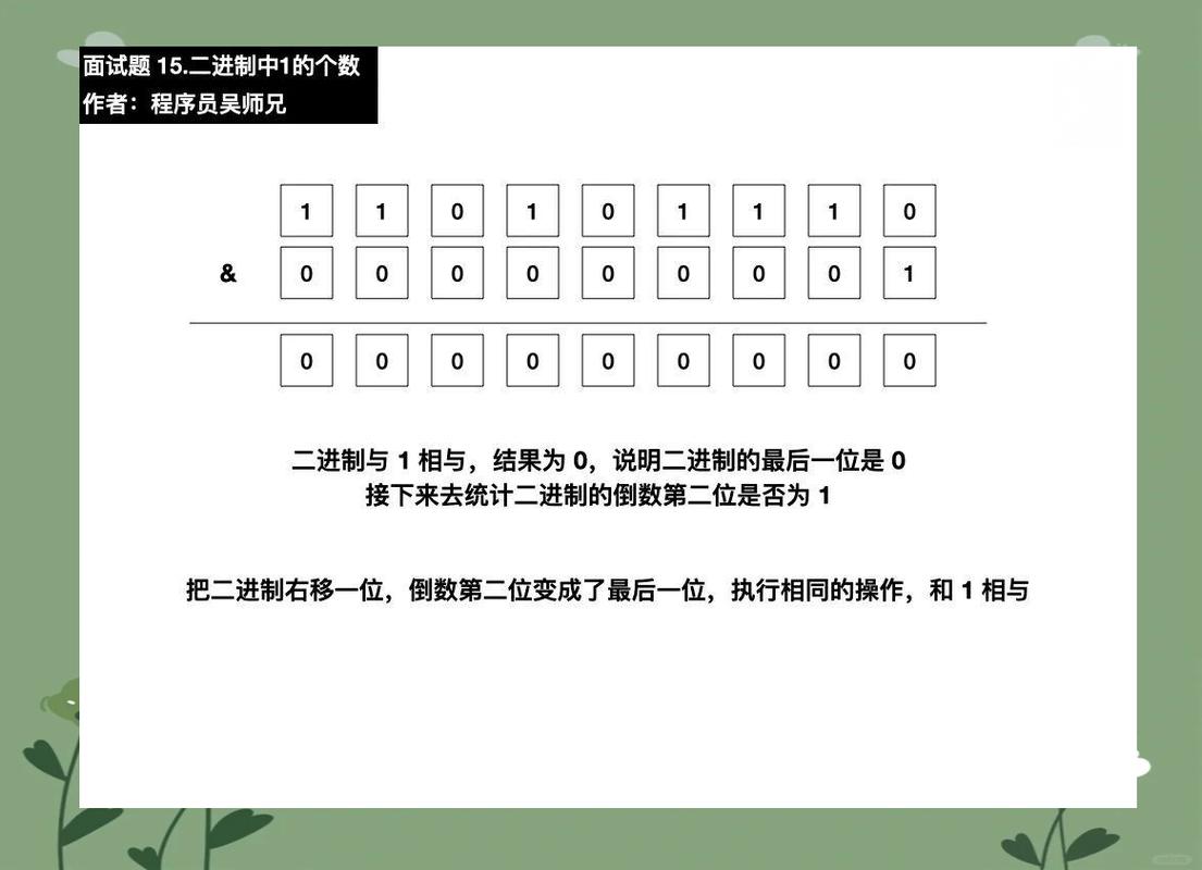 如何统计一个二进制数中1的数量？