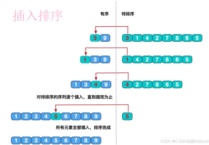 TypeScript中插入排序算法示例及详解，有哪些关键步骤？