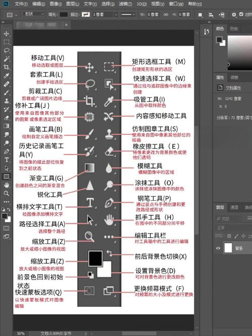 如何在PS中查找色阶快捷键及其具体操作步骤？