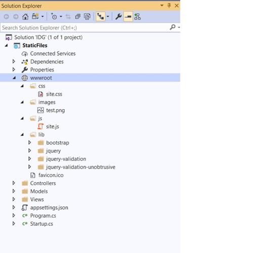 如何正确配置ASP.NET Core项目以支持静态文件？