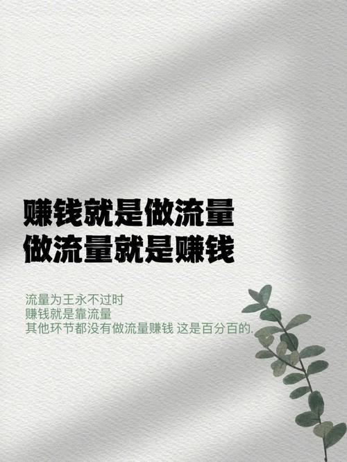 流量为王，质胜于量，难道不是更应追求高质量而非单纯追求数量？