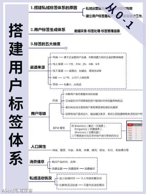 如何实现Angular6中用户自定义标签的开发？
