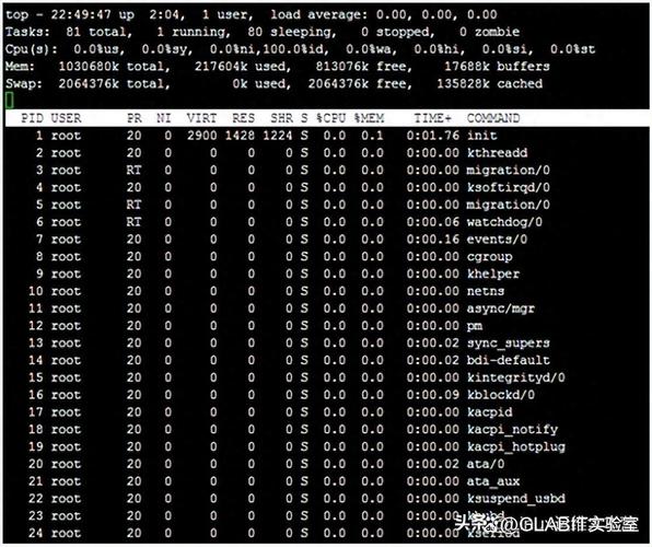 如何通过Java脚本和Linux命令行实现高效系统监控？