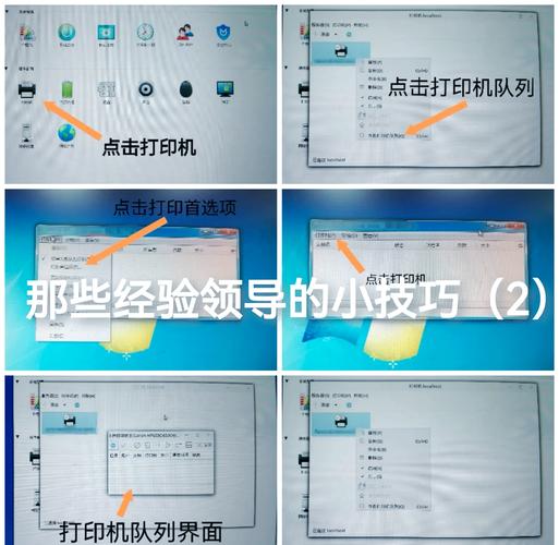如何使用Go的SectionReader模块对指定文件区域进行格式化并打印内容？