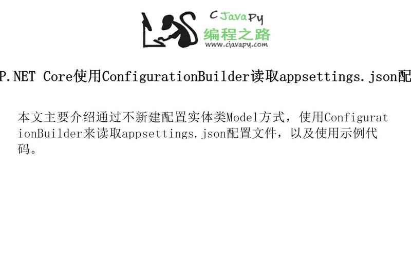 如何从ASP.Core项目中获取appsettings.json配置文件中的特定信息项？