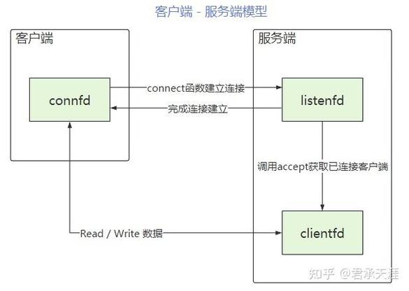 Python服务器编程中，如何深入理解半同步半异步Reactor模型的工作原理？