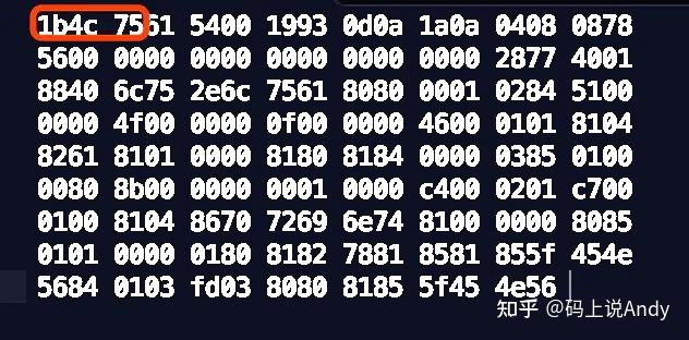 Lua字节码规范有哪些具体要求？