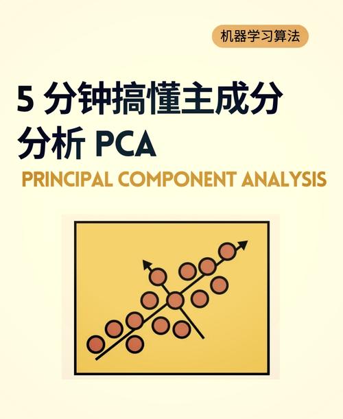 主成分分析(PCA)在数据降维中扮演什么角色？