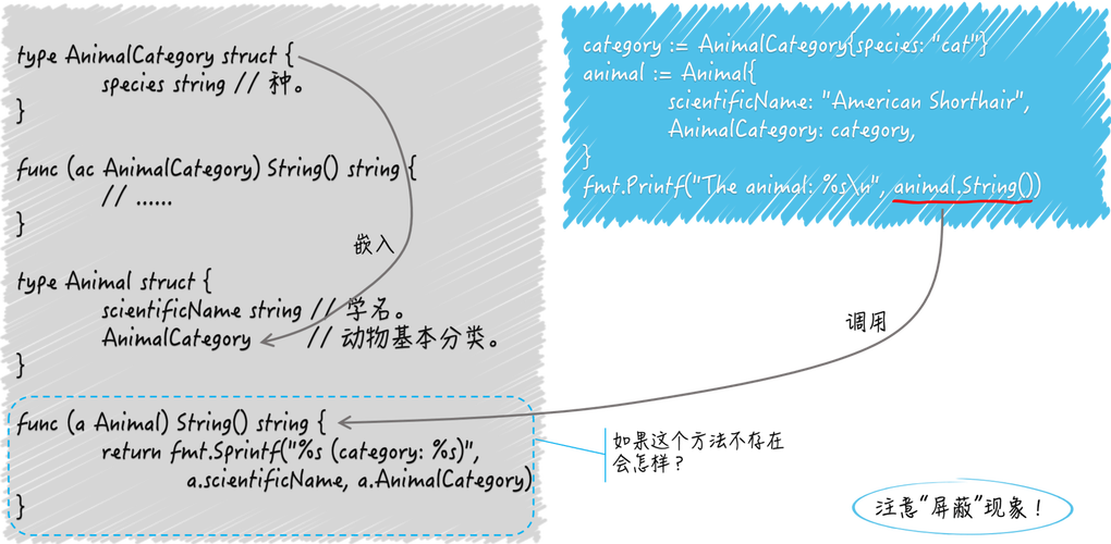 秋日学习Go语言：如何掌握结构体基础？