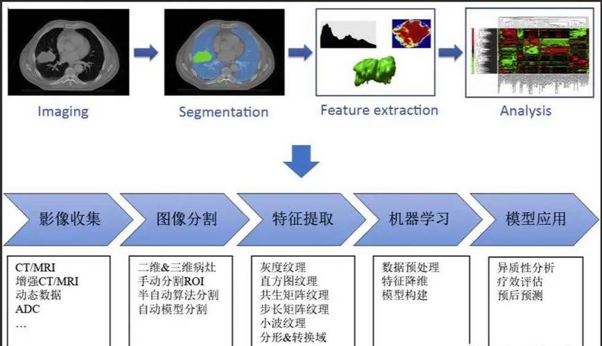 如何用C语言实现影像的采集、存储、传输、显示及管理流程？