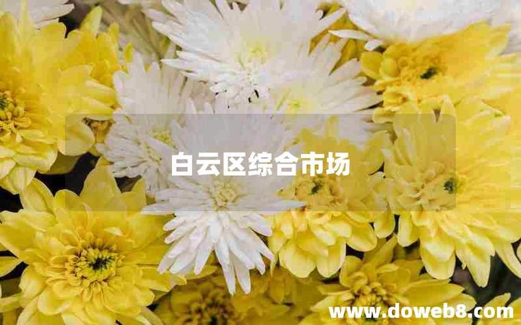 白云SEO优化价格透明，哪家服务更实惠呢？