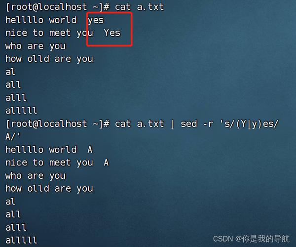 Linux环境下如何具体运用正则表达式？
