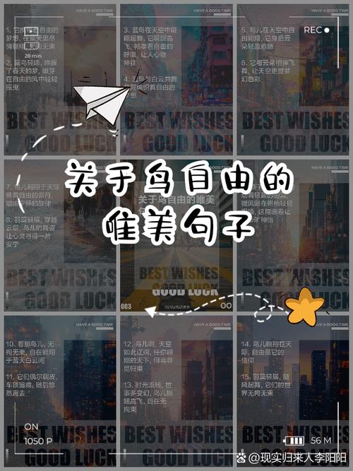 翱翔的文字，如何才能创意无限，自由挥洒？