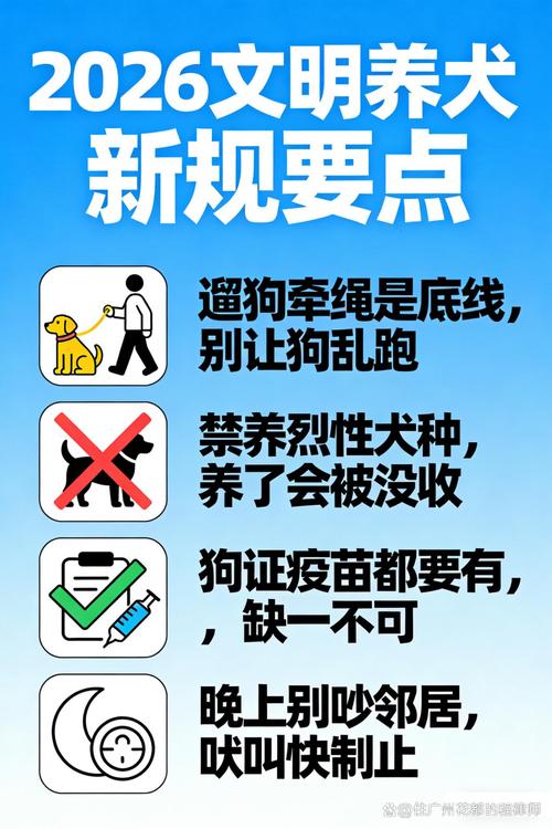 全国范围内推广青岛独狗新规，是否真的势在必行呢？