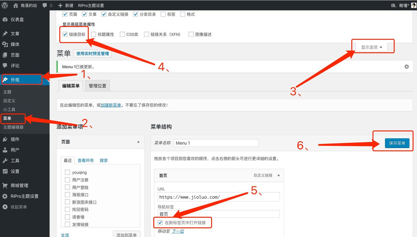 如何详细解析WordPress中自定义标签云及随机标签的获取方法？