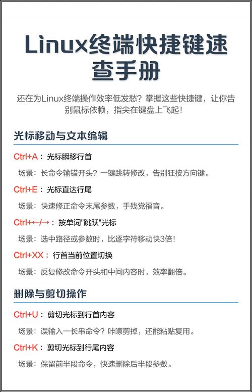 Linux终端如何执行特定命令？