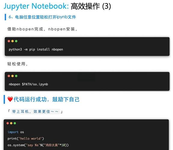 如何使用Jupyter Notebook执行JavaScript代码？