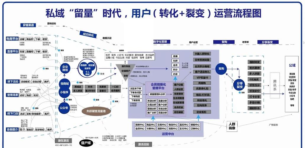 如何通过策略将网站流量翻倍，实现转化率显著提升？