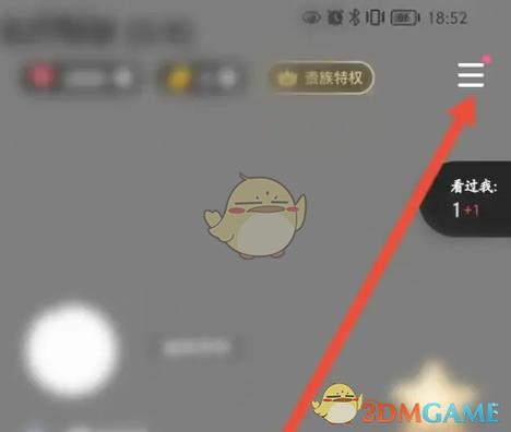 在TT语音里如何正确输入邀请码，详细操作步骤是怎样的？