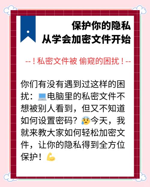 如何实现加密守护、隐私护航，确保安全上网无后顾之忧？