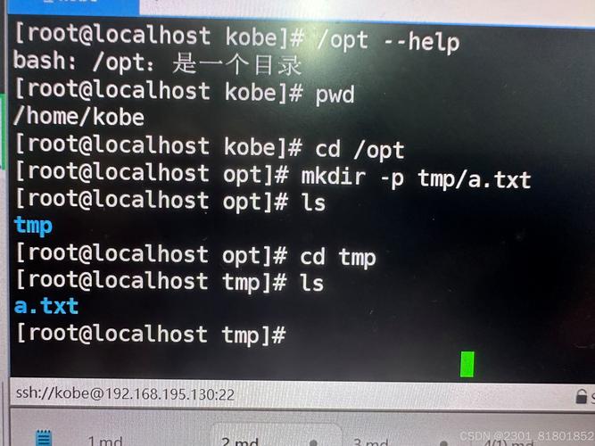 admin.txt文件的作用是什么？