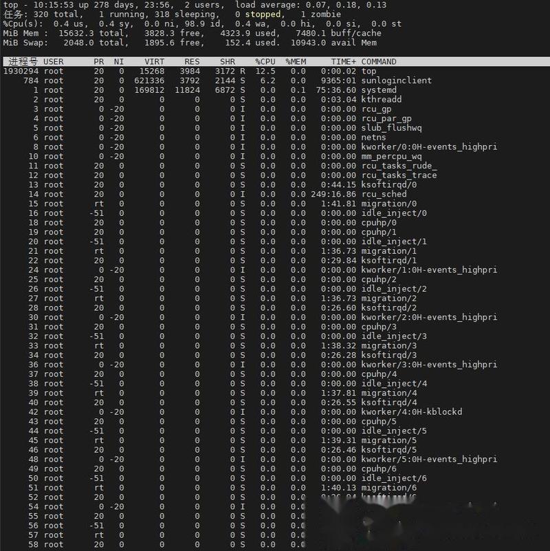 如何通过Linux系统查询运行Java程序的进程ID？