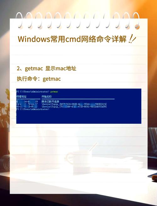 如何正确使用aspnet_regiis.exe命令？