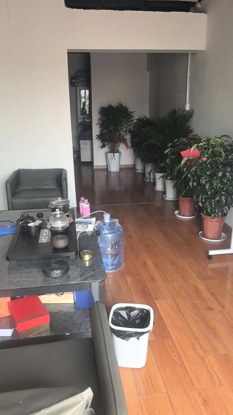 娄底SEO哪家口碑最好，推荐哪家服务更专业？