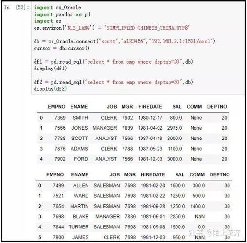 如何用Node.js中的MongoDB ObjectId实现查询操作？