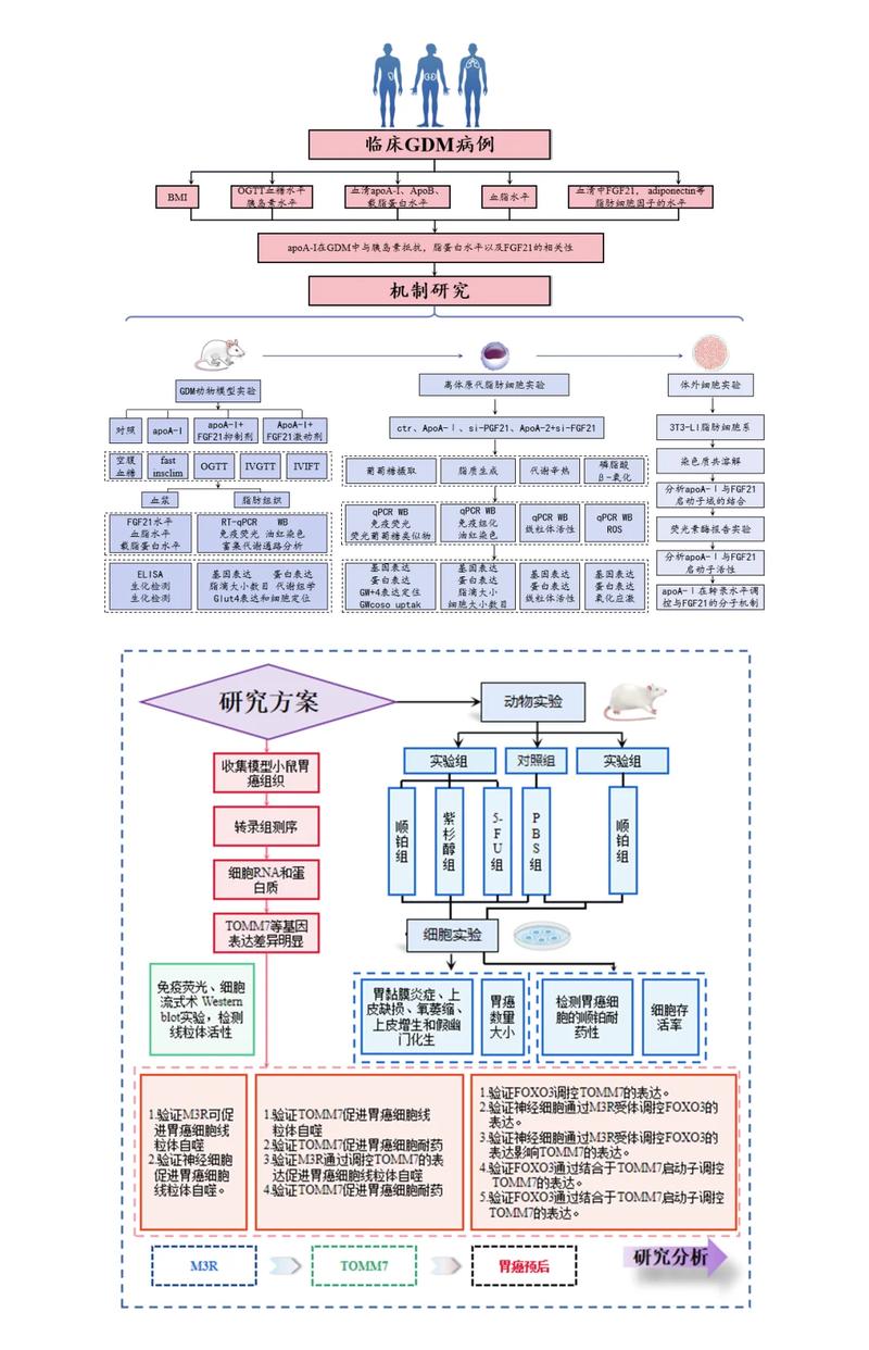 如何深入分析Yii2框架中视图操作与布局（Layout）的运用技巧？